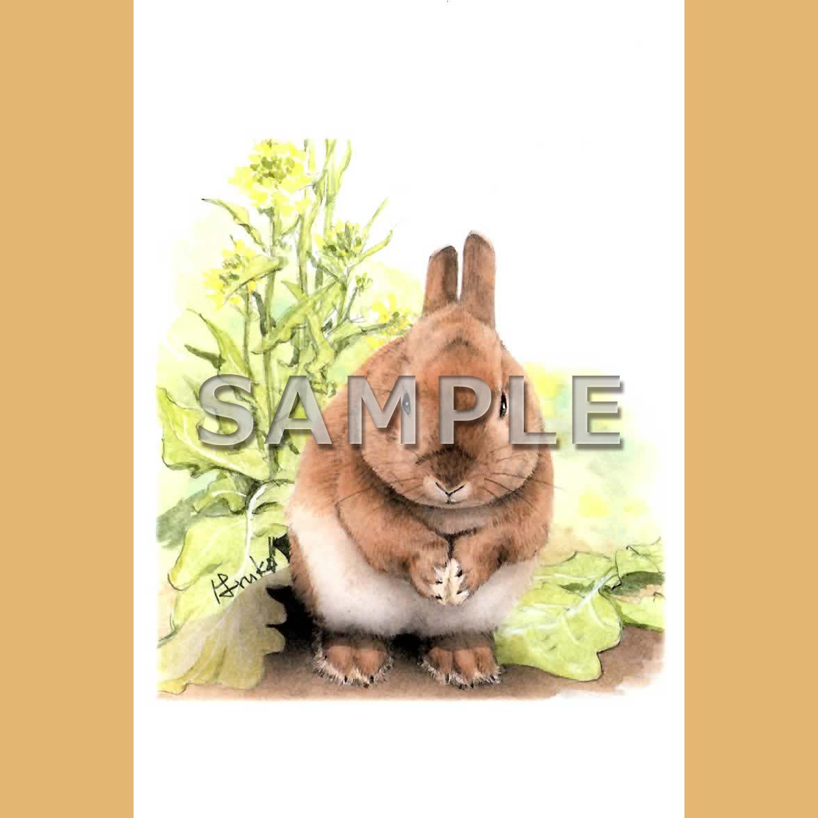 Rabbittuff_様 画像ご確認用 出品（カード） レビュー記入でメール便送料無料」トレカケース 推し活 トレーディング