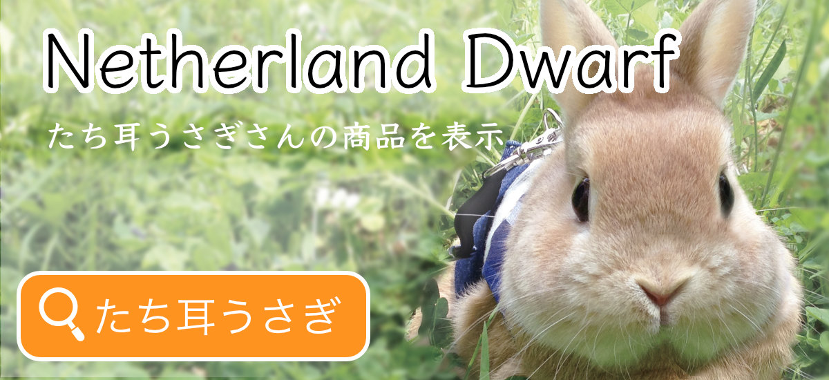 たち耳うさぎの商品を表示